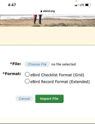File selection popup