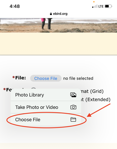 File selection screen